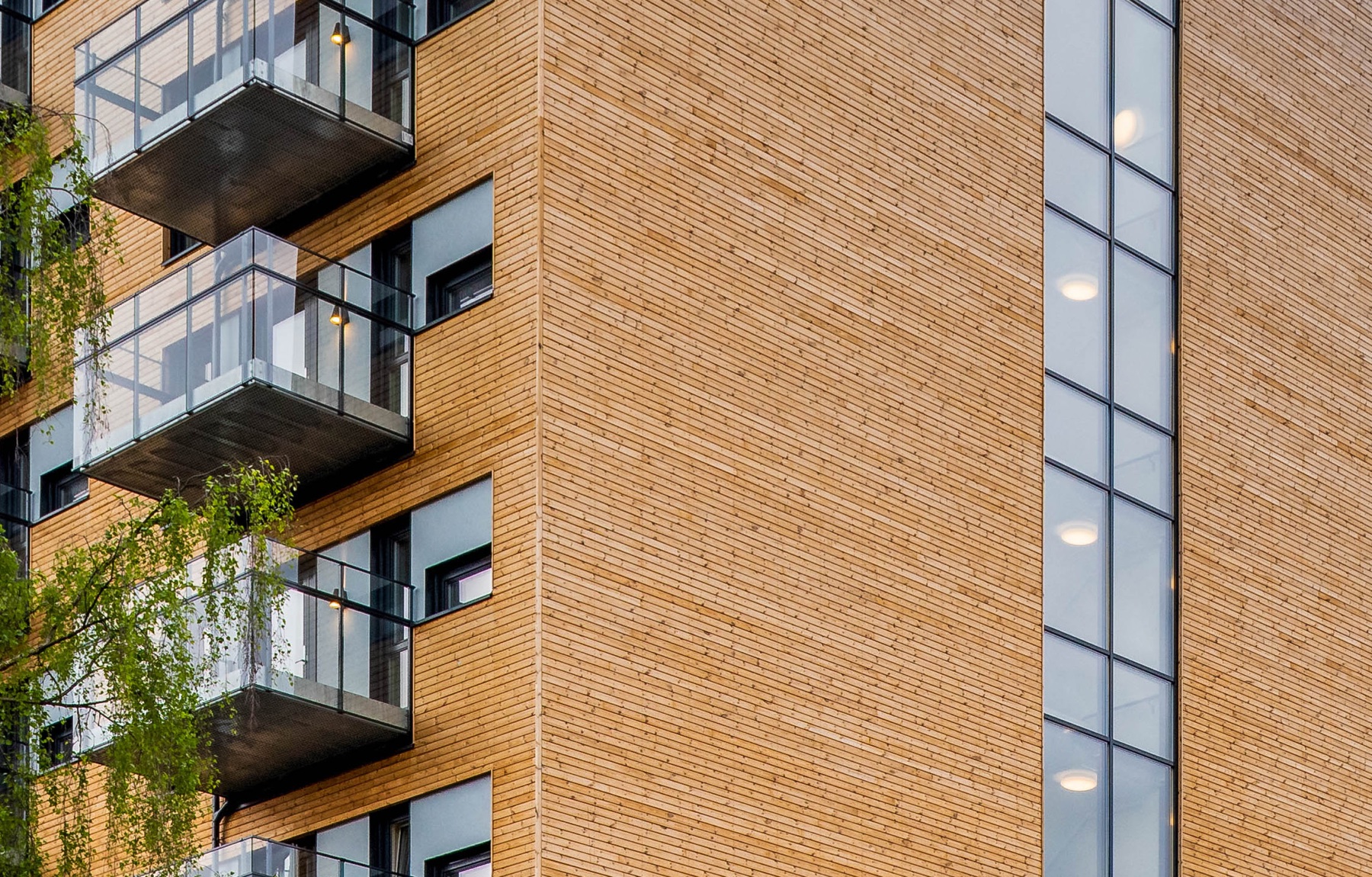 Sverige bygger världens största trästad