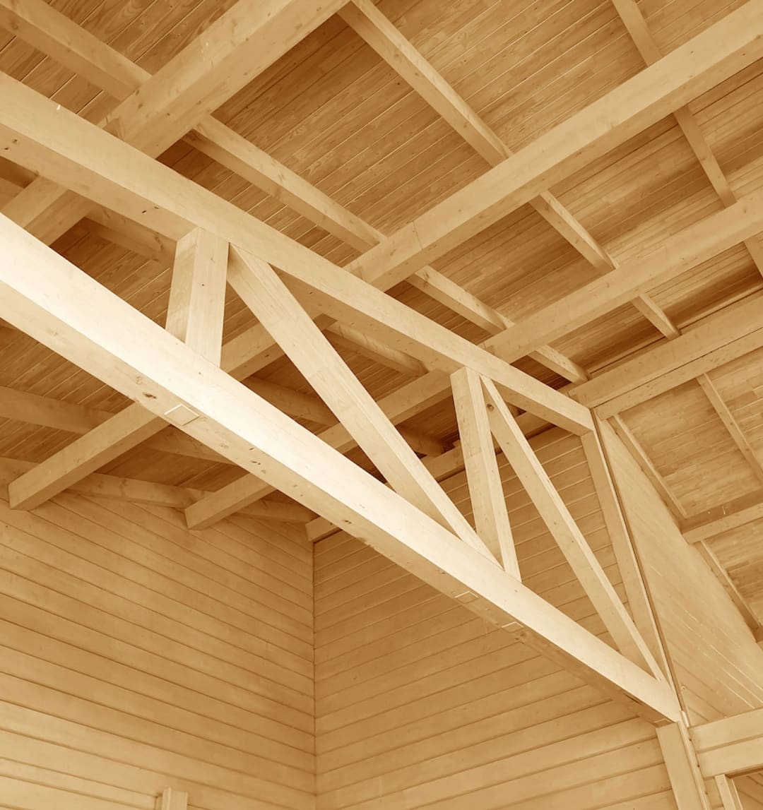 Träbyggande - lösa globala utmaningar